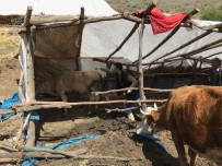 YASA TEKLİFİ - TOÇBİRSEN Arguvan Temsilcisi Mehmet Saydan Açıklaması