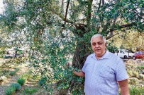 GEZIN - Ziraat Odasında 'Mahsulünüze Sahip Çıkın' Uyarısı