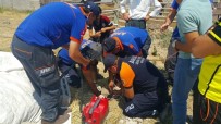 YAVRU KÖPEK - 7 Metrelik Kuyuya Düşen Yavru Köpek AFAD Tarafından Kurtarıldı
