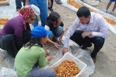 Ağbaba'dan Mevsimlik Tarım İşçileri İçin Araştırma Önergesi