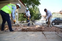 MUHSIN ÇELEBI - Aksaray'da Belediye Çalışmaları Sürüyor