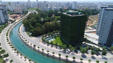 Dört Bir Yanı Sarmaşıklarla Kaplı Türkiye'nin Tek Yeşil Apartmanı Adana'da