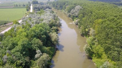 (Özel) OSB'nin Atık Suları İle Kirlenen Sakarya Nehri Havadan Görüntülendi