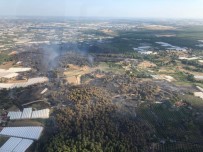 YURTPıNAR - Antalya'daki Orman Yangınıyla İlgili Açıklama