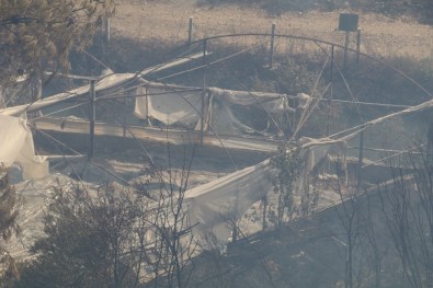 Antalya'daki Yangın Kontrol Altına Alınıyor