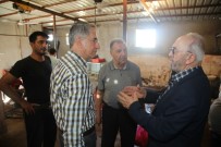 KURBAN FİYATLARI - Başkan Yanılmaz, Hayvan Borsasını İnceledi