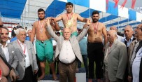 HAMZA YERLİKAYA - Başpehlivan Gör Altın Kemerin Sahibi Oldu