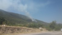 Denizli'de Orman Yangını Büyümeden Kontrol Altına Alındı