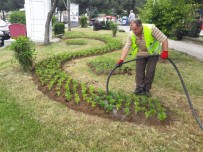 İlkadım'da 120 Parkta 30 Bin Mevsimlik Çiçek Dikildi