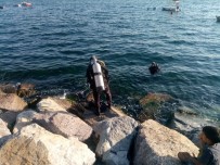 Kartal'da Denize Giren Suriyeli Genç Kayboldu