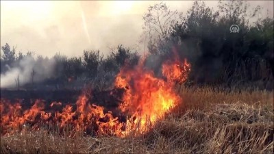 Silivri'de Korkutan Anız Yangını