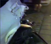 HAFRİYAT KAMYONU - Alkollü Sürücünün Kullandığı Kamyon 16 Araca Çarptı