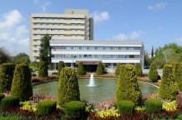 ULUS DEVLET - AÜ Senatosu, Yahudi Ulus Devlet Yasasını Kınadı