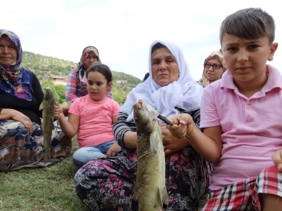 Domaniç'teki Balık Ölümlerine Vatandaşlardan Tepki