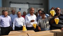ARIF ABALı - Tarsus'ta Meyve Üreticilerine Sinek Tuzağı Dağıtıldı