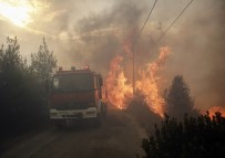 Yunanistan'daki Yangın Can Aldı