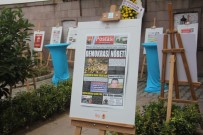 BASIN BAYRAMI - Balıkesir Gazeteciler Cemiyeti'nden 15 Temmuz Sergisi