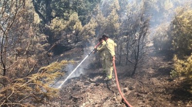 Kızılçam Ormanındaki Yangın Kontrol Altına Alındı