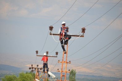 Kuş Ölümleri 'Kuşkonmaz' İle Engelleniyor