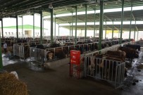 EMLAK VERGİSİ - Vergi Borcu Olanlar Dikkat, Süre 31 Temmuz'da Sona Eriyor