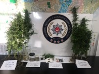 HINT KENEVIRI - Yalova Ve İstanbul'da Eş Zamanlı Uyuşturucu Operasyonu