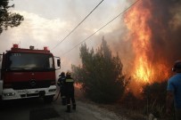 Yunanistan'daki Yangın Felaketinde Ölü Sayısı Artıyor