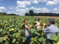 TÜRK DÜNYASI - Başkan Karaosmanoğlu, ''Tarım Desteklerimiz Türkiye'ye Örnektir''