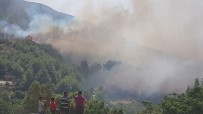 KONACıK - Hatay'da Orman Yangını