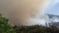 KONACıK - Hatay'daki Orman Yangını Kontrol Altına Alınmaya Çalışılıyor