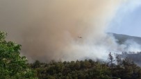 KONACıK - Hatay'daki Orman Yangını Kontrol Altına Alınmaya Çalışılıyor
