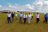 ARSLAN YURT - Kömür Üretimi Sona Eren Araziler Meraya Dönüşüyor