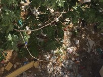 ALTINŞEHİR - Mahalle Halkı Çevre Kirliliğinden Şikayetçi