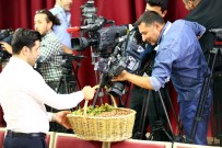 TOPRAK MAHSULLERI OFISI - MHP'li Enginyurt Açıklaması 'Toprak Mahsulleri Ofisi Derhal Devreye Sokularak Fındık Alacağını İlan Etmeli'