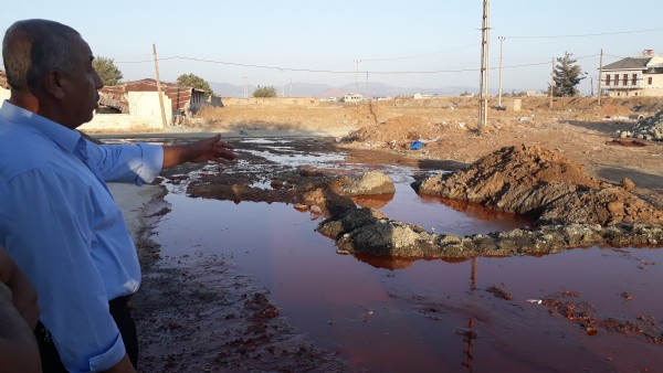 Görenleri şaşkına çeviren görüntü