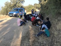 KAÇAK GÖÇMEN - 40 Kaçak Göçmen Yakalandı