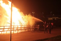 MOGAN GÖLÜ - Ankara'da Korkutan Yangın