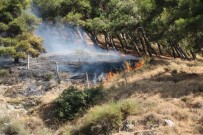 HABİB-İ NECCAR - Antakya'da Habib-İ Neccar Dağı'nda Orman Yangını