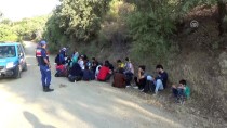 ZEYTINLIK - Çanakkale'de 40 Yabancı Uyruklu Yakalandı