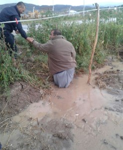 Gümüşhacıköy'de Tarım İşçilerinin Çadırlarını Su Bastı