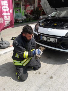 İtfaiye'den Kedi Kurtarma Operasyonu