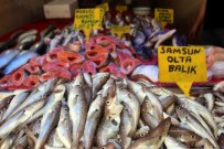 UMUTLU - Sezonun İlk Olta Balıkları Geldi