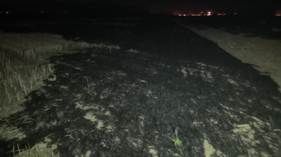 Kırıkkale'deki Yangın Söndürüldü