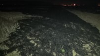 KıRıKKALE MERKEZ - Kırıkkale'deki Yangın Söndürüldü