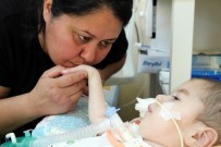 AHMET KANAT - SMA Hastası Minik Uğur'un Ailesinin Elektrik Kesilme Korkusu Sona Eriyor