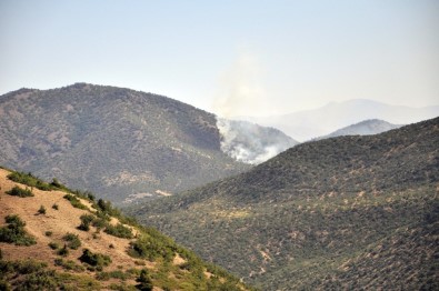 Tunceli'de Otluk Alanda Başlayan Yangın Ormana Sıçradı