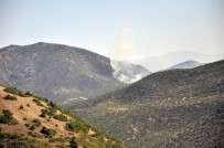 Tunceli'de Otluk Alanda Başlayan Yangın Ormana Sıçradı Haberi