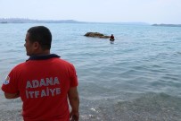 ÇUKUROVA ÜNIVERSITESI - Adana'da İnanılmaz Kurtuluş