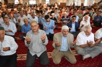 BEDİÜZZAMAN - Bediüzzaman Sevdalıları Van'da Buluştu