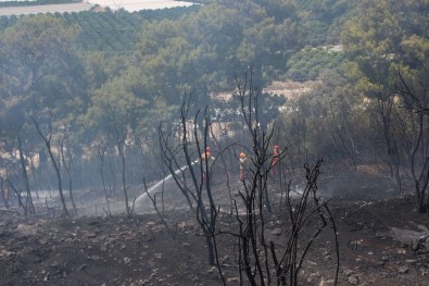 Kumluca'da Orman Yangını