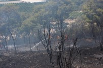 ORMAN İŞLETME MÜDÜRÜ - Kumluca'da Orman Yangını